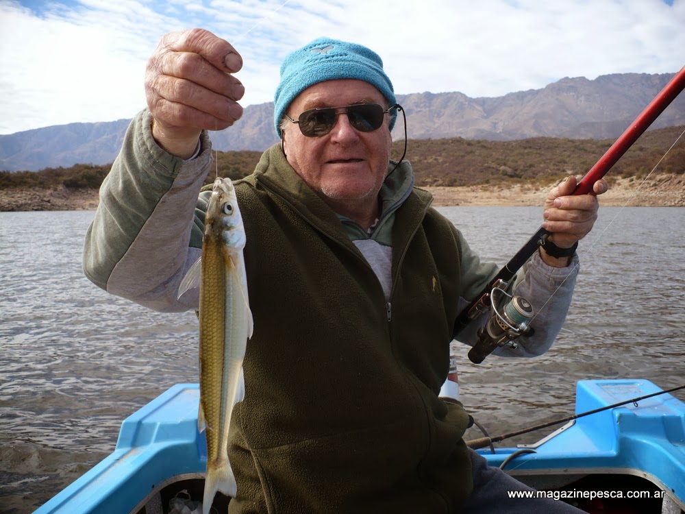 Todo para la pesca submarina del vídeo